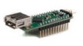 FTDI Vinculum-II V2DIP1-32 Development Module